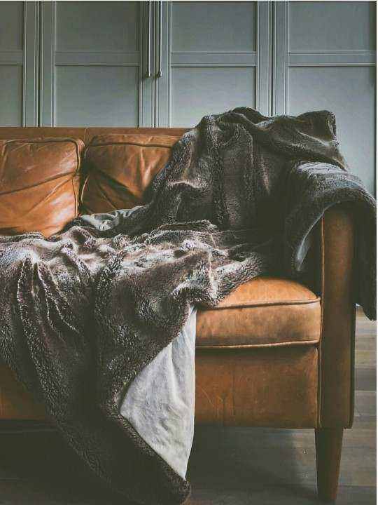 Convertible sofa bed in linen